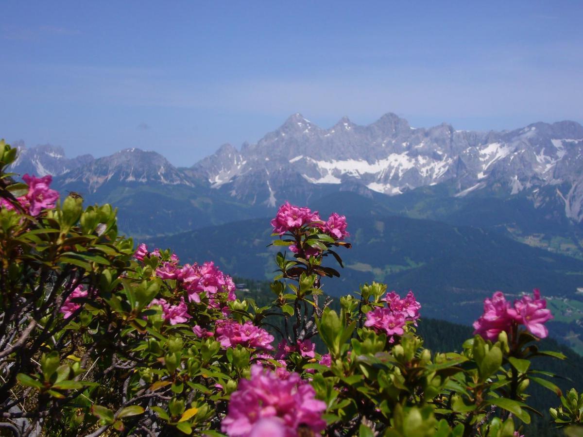 Appartement Wiesbach Ramsau am Dachstein
